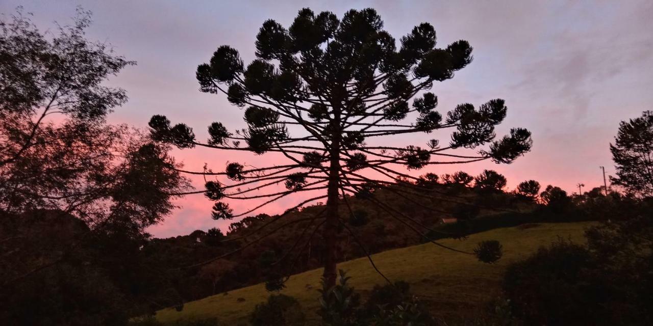 Pousada Recanto Da Vitoria กอนซัลวิซ ภายนอก รูปภาพ